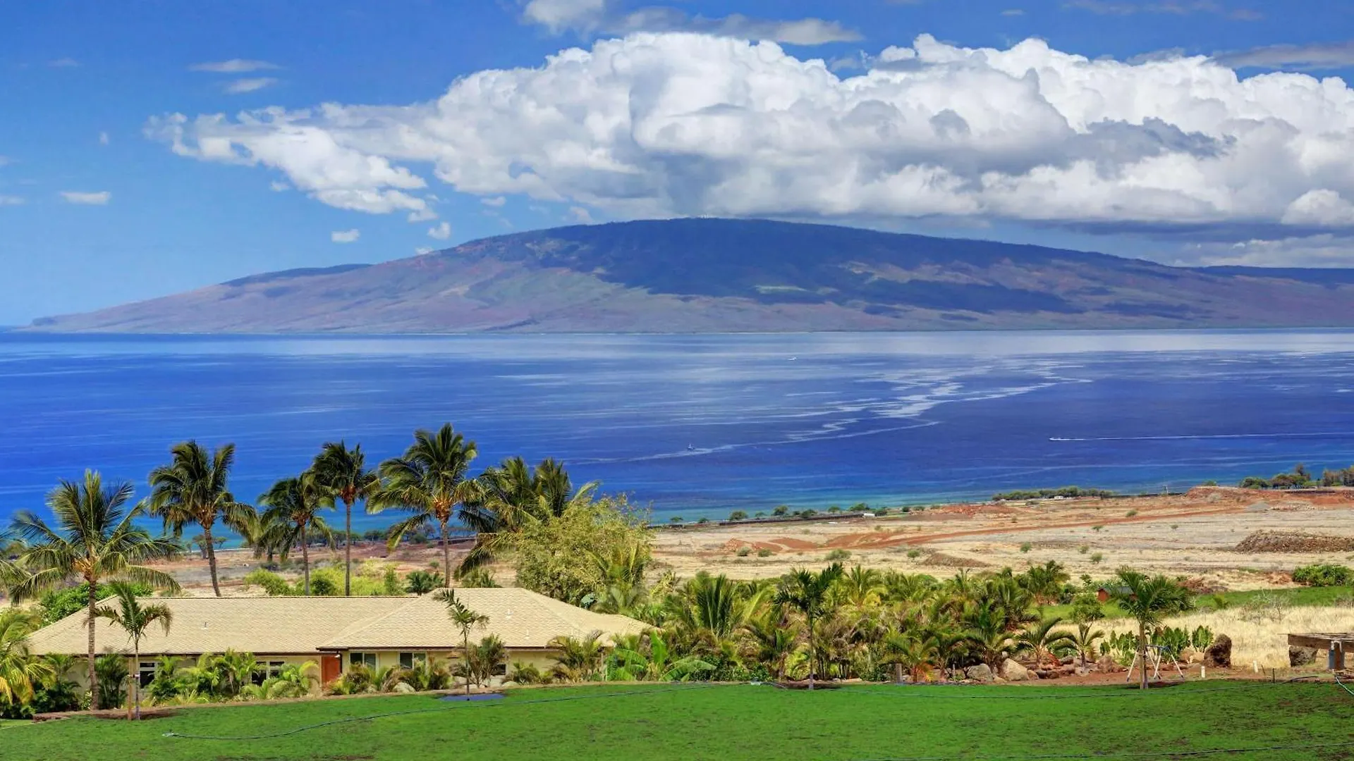 Aloha Spirit Maui