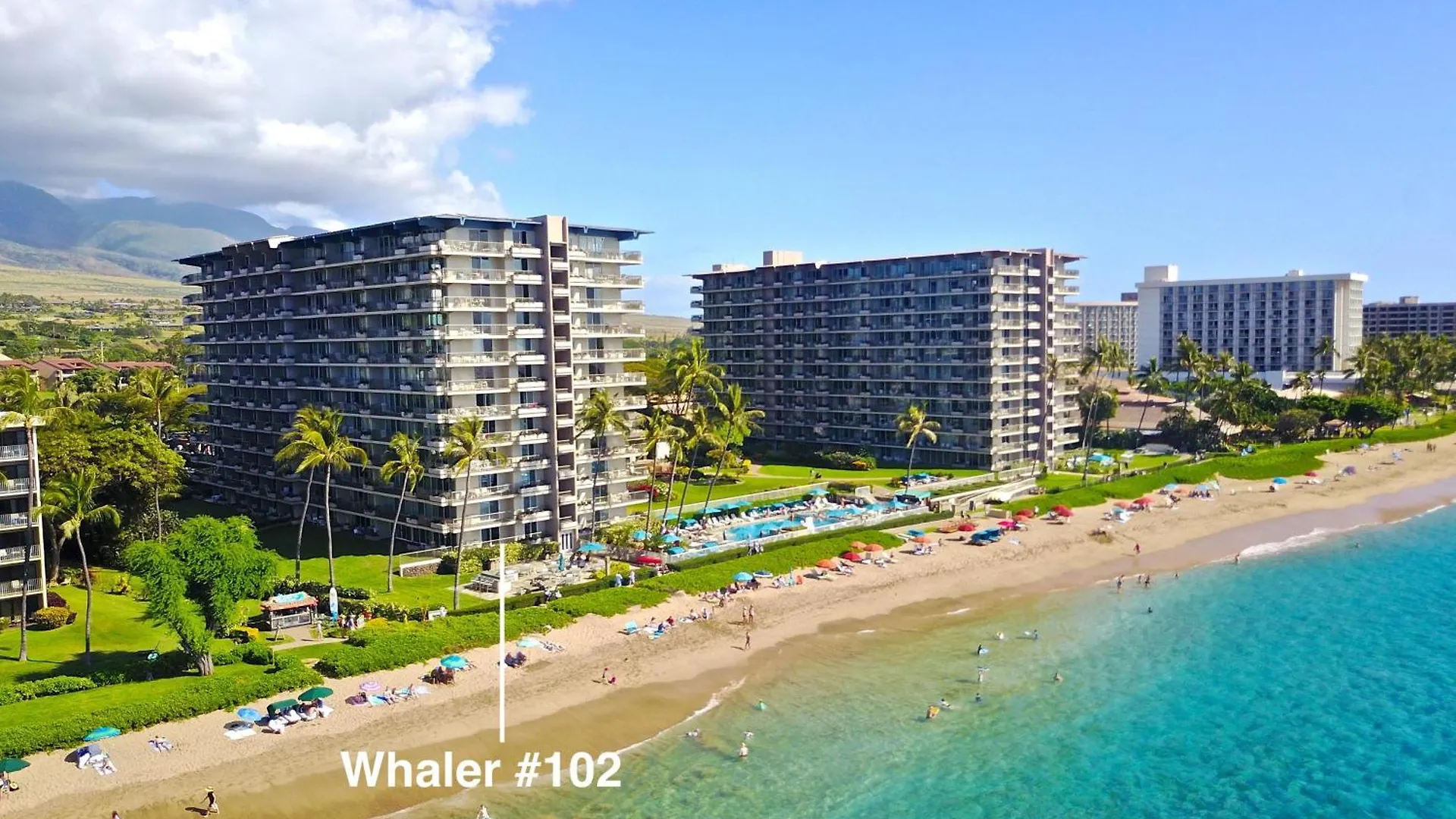 Whaler 102 *