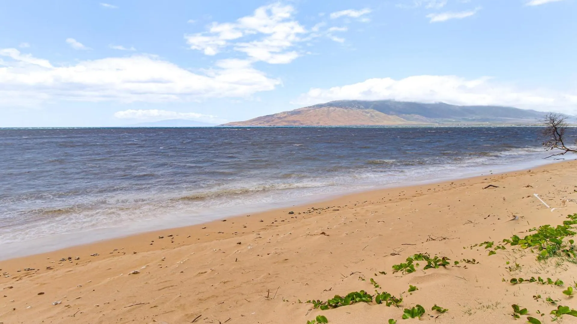 Gorgeous Oceanfront With Spectacular Views!