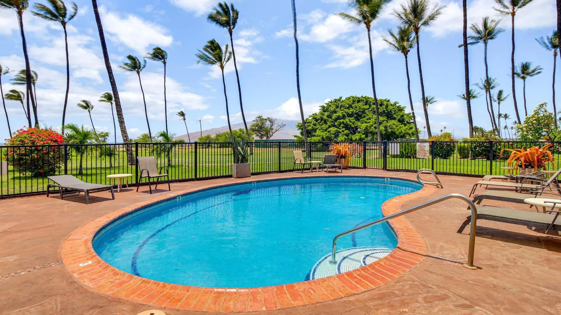 Gorgeous Oceanfront With Spectacular Views! Διαμέρισμα