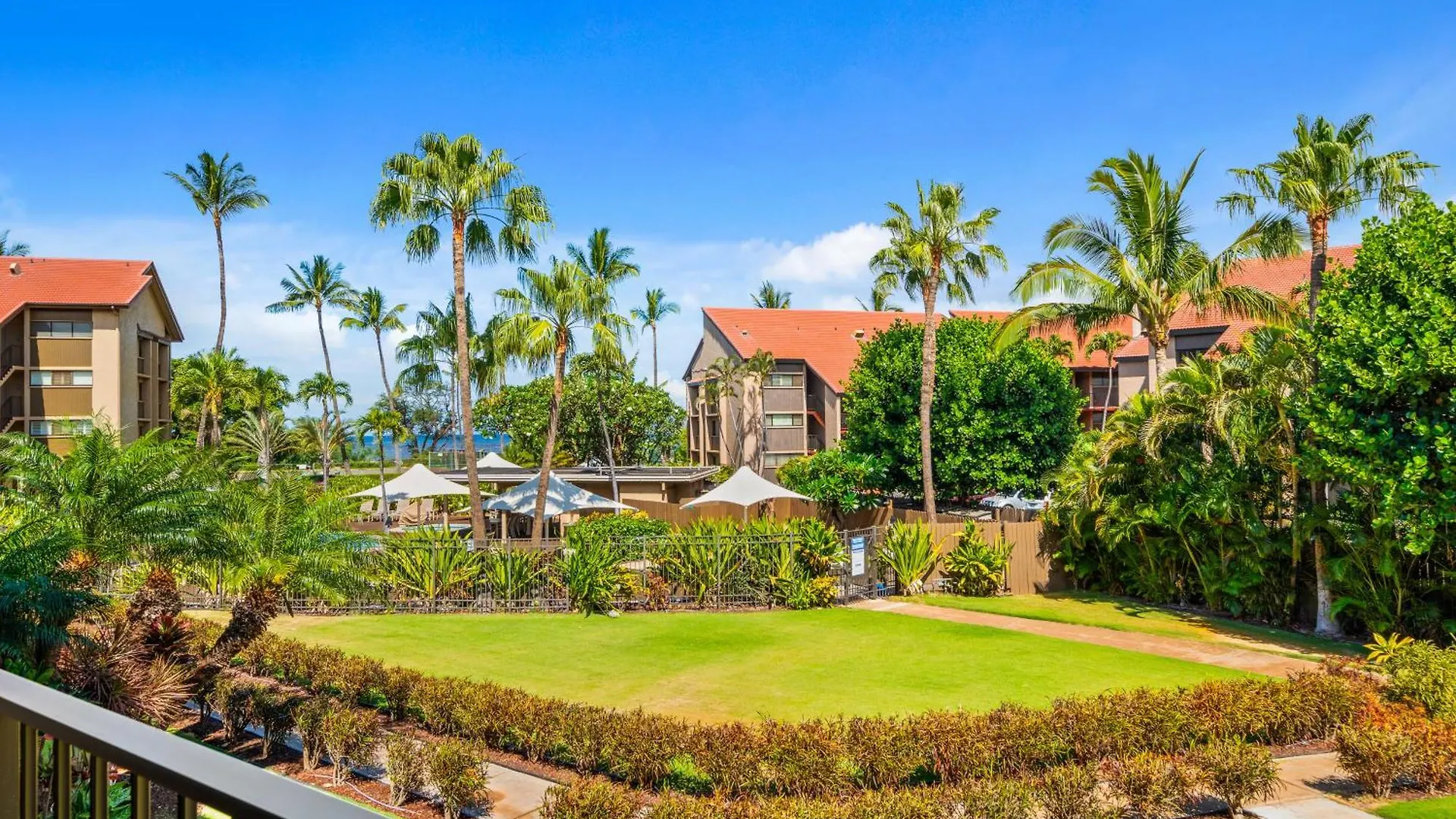 Maui Schooner