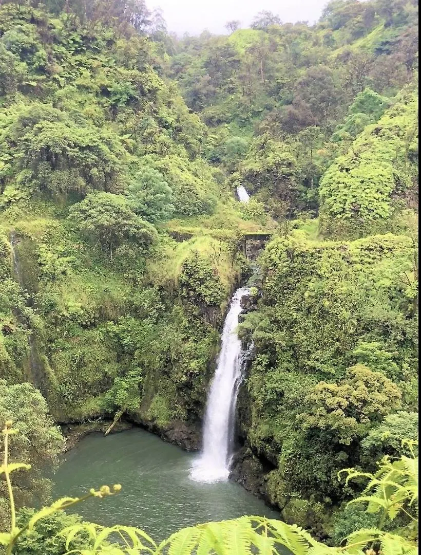 Luana Kai C210 * Kihei