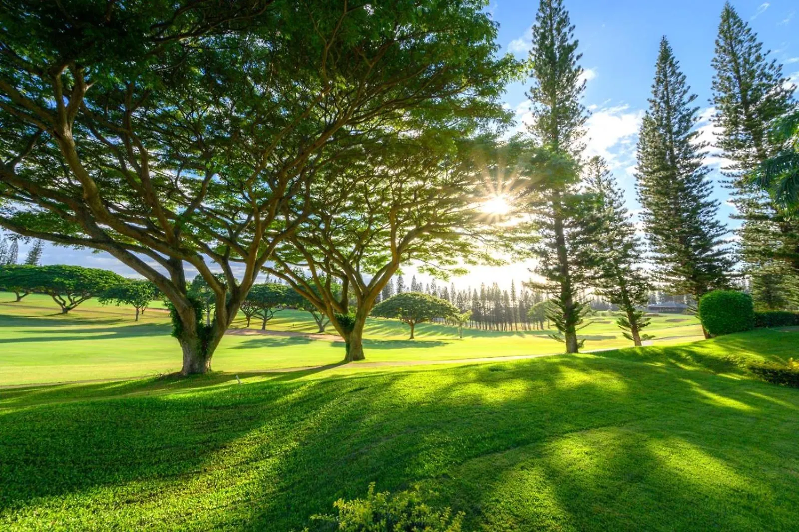 Daire Kbm Free Car Golf Golf Course View 2-bedroom Kgv-14p6