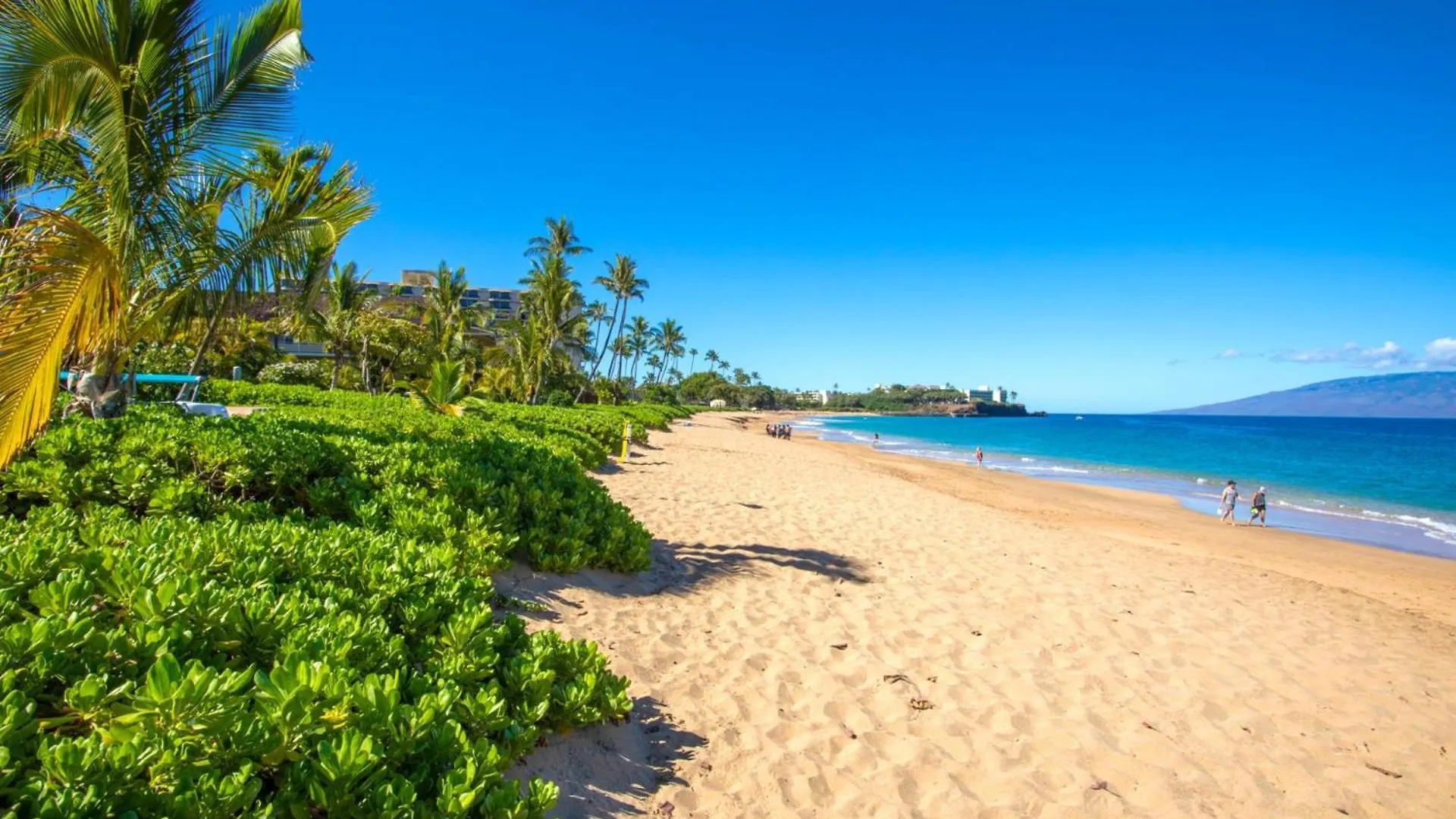 Kbm - 2 Free Cars - Maui - Multi Unit Listing - Beachfront 2 Mkv-b242 Mkv-b247