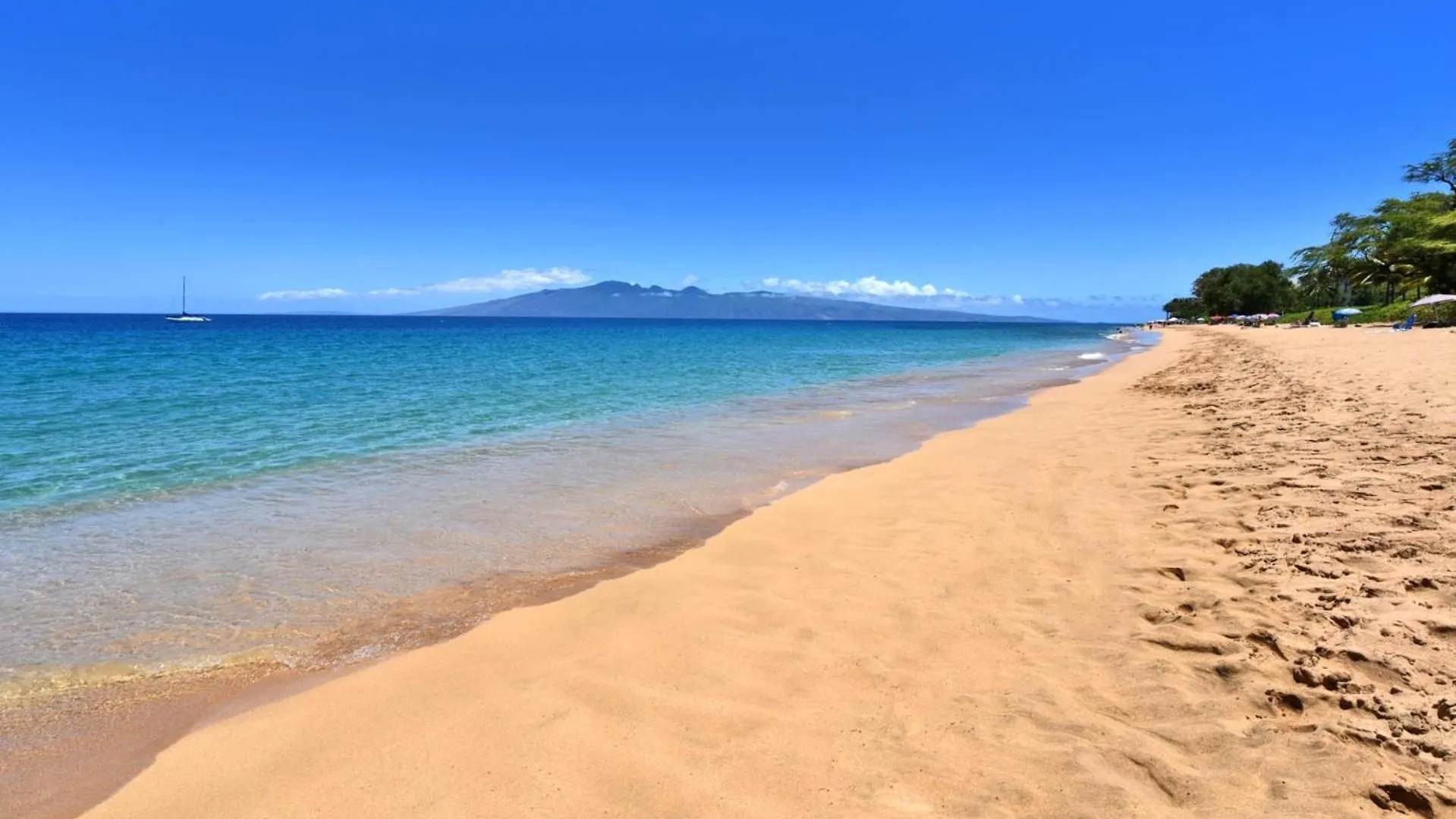 Kbm - 2 Free Cars - Maui - Multi Unit Listing - Beachfront 2 Mkv-b242 Mkv-b247 *