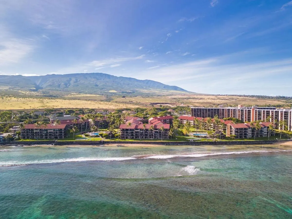Papakea K301- Oceanview 1 Bedroom Coastal * لاهينا