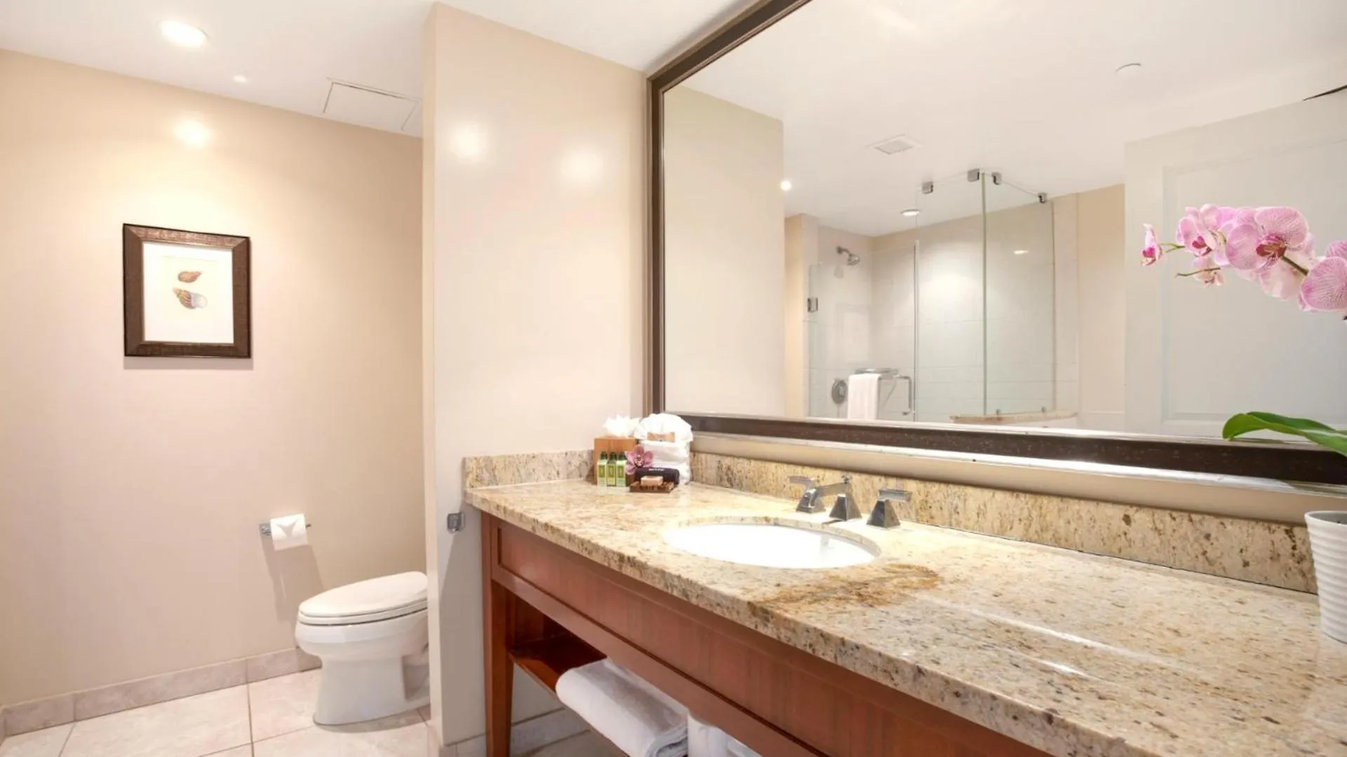 Apartament Kbm Free Car Honua Kai Hokulani Ocean View 2bedroom Hkh-537 Remodeled King Ocean View Kaanapali