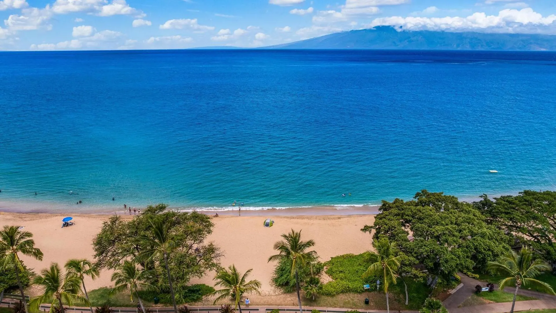 Eldorado K203 * Kahana
