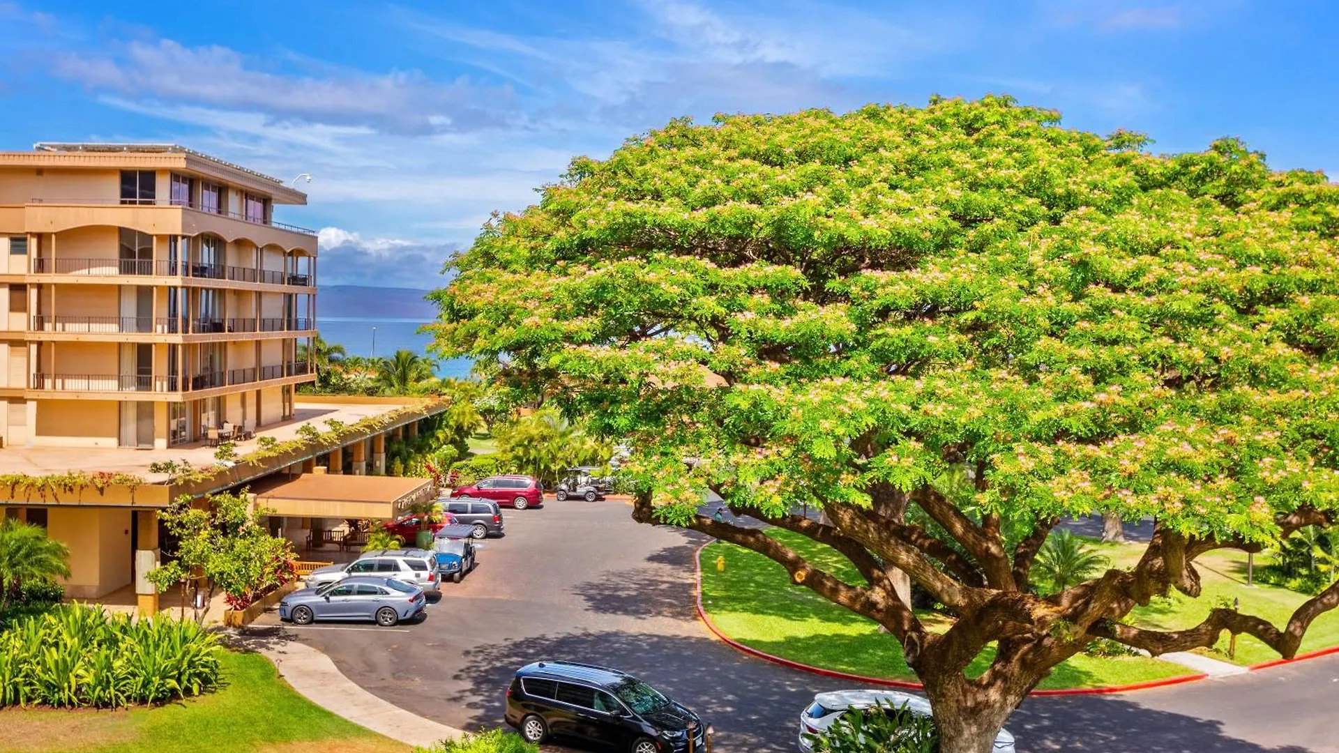 Maui Kaanapali A412 * Lahaina