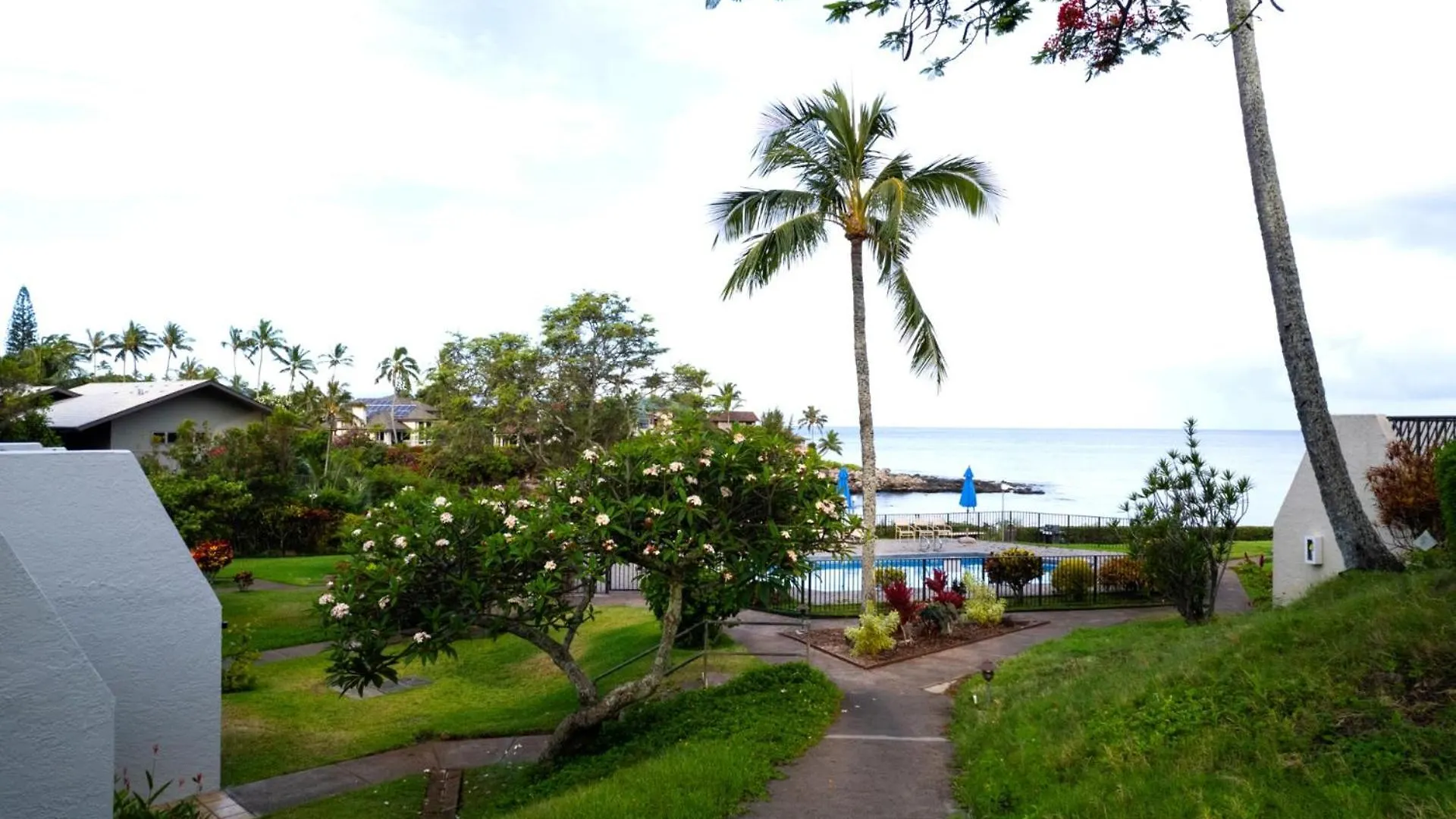 Appartement Kbm Spacious 3-bedroom Point Collection Multi Unit Listing Same Ocean Views 2 Free Cars Nap-c43b43 Napili-Honokowai
