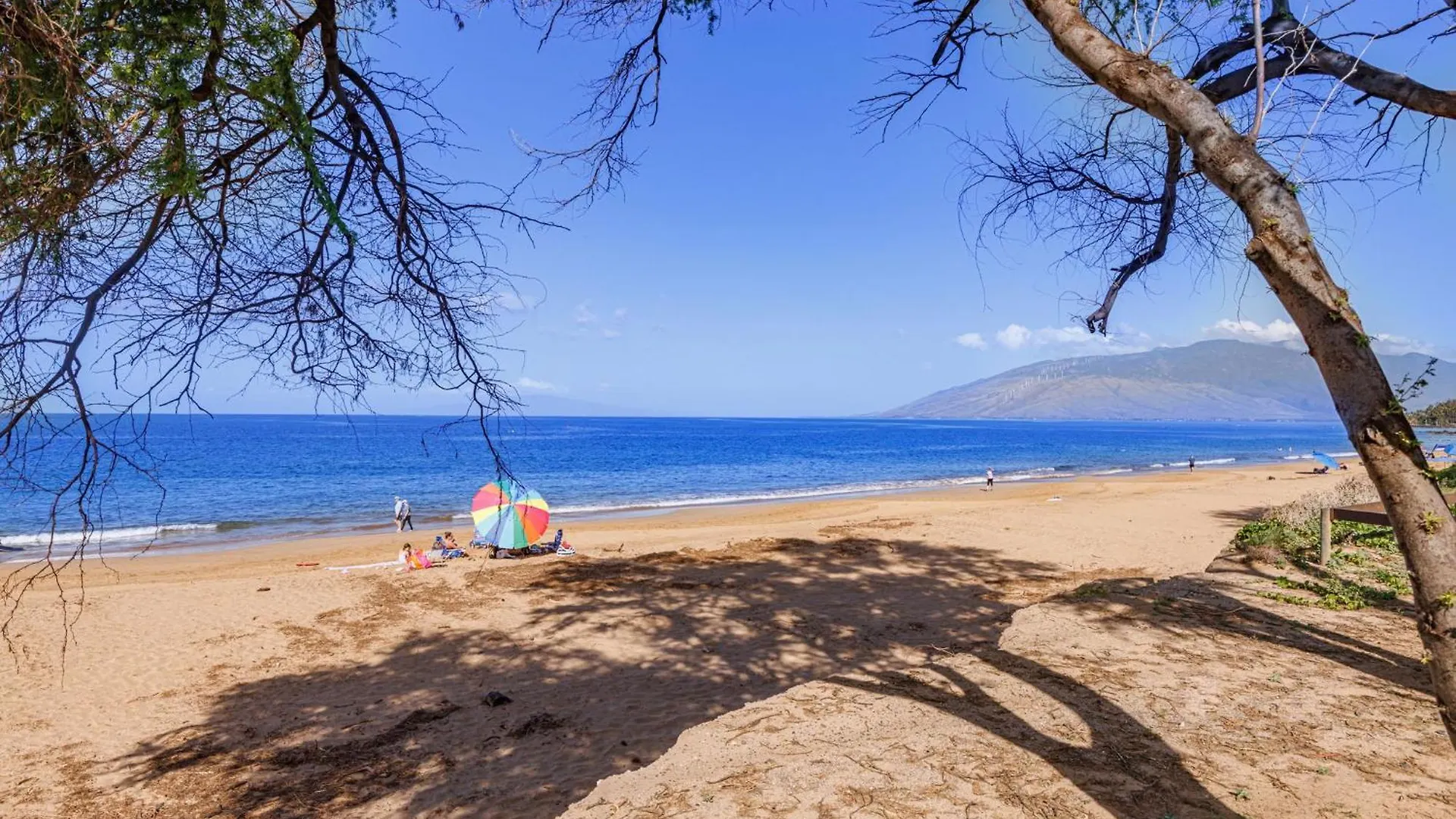 Watch Whales And Sunsets From Your Bed - Double Master Sunset *
