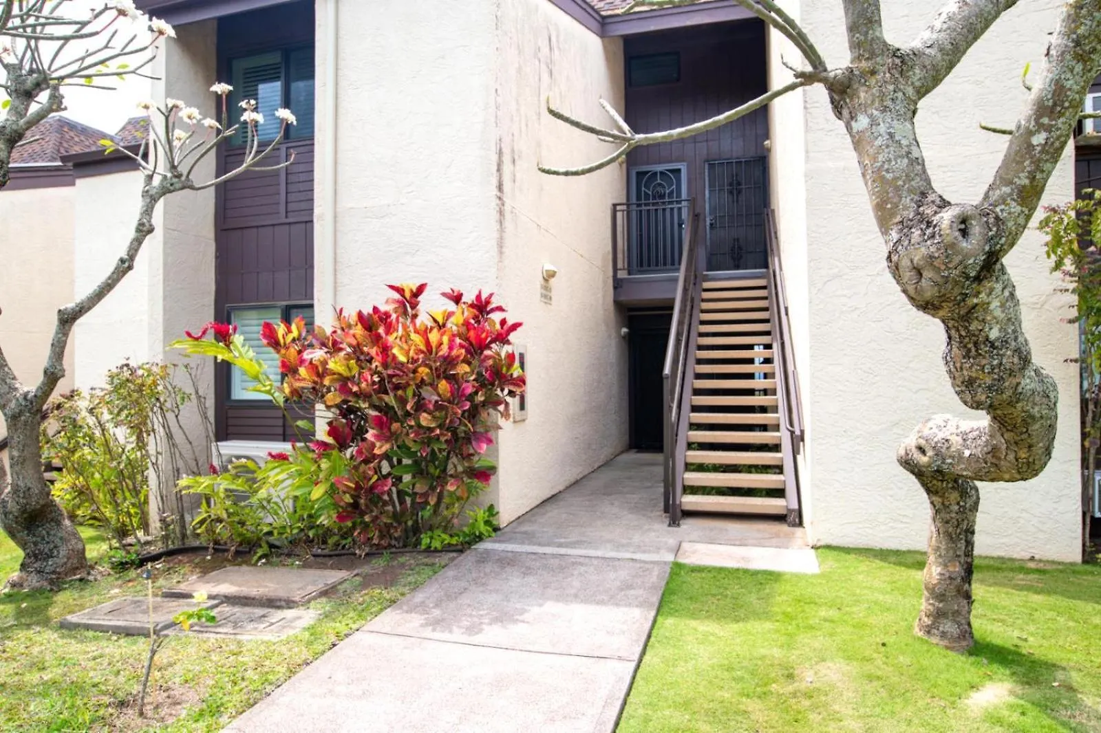 Kbm Spacious 4-bedroom Point Collection Multi Unit Listing Ocean Front 2 Free Cars Nap-c3137