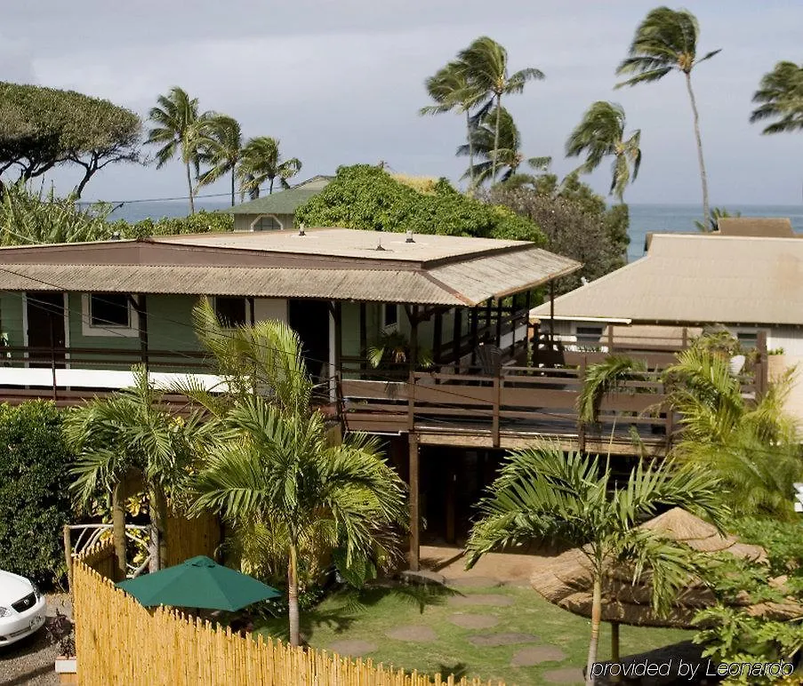 Nalu Kai Paia
