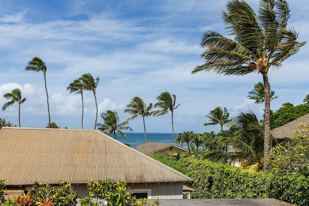 Nalu Kai * Paia