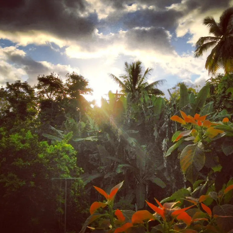 Heavenly Paradise