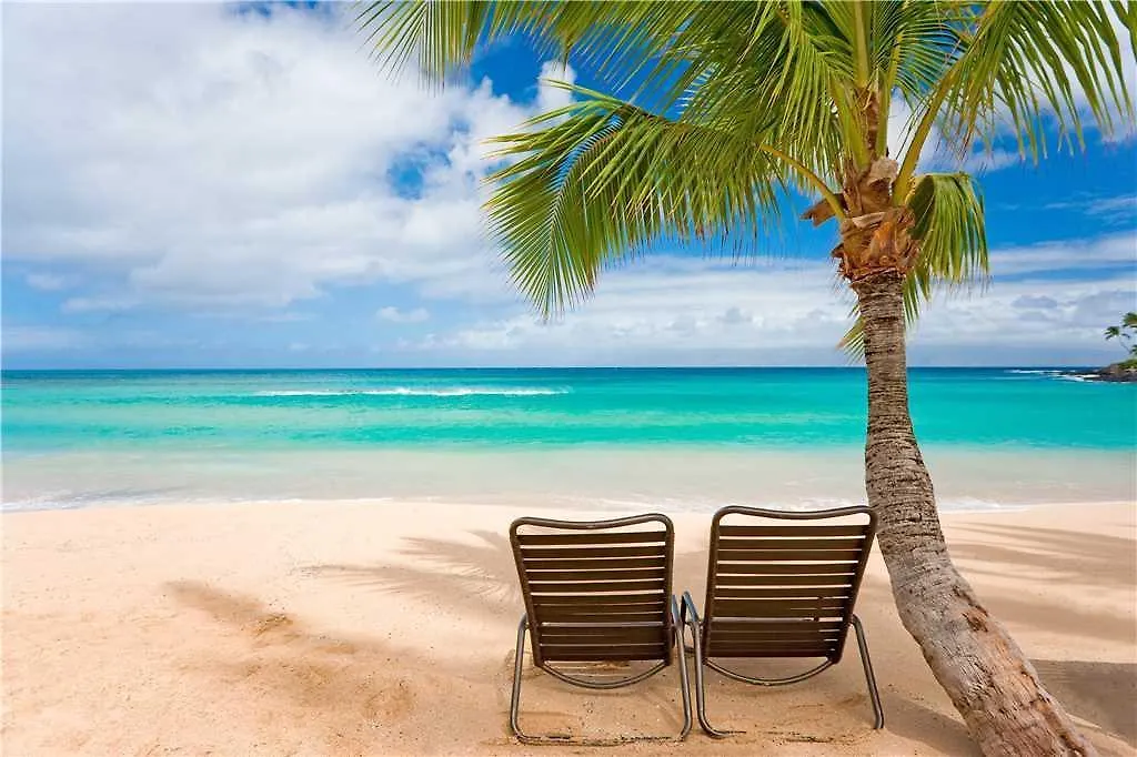 Maui Kamaole ויילי