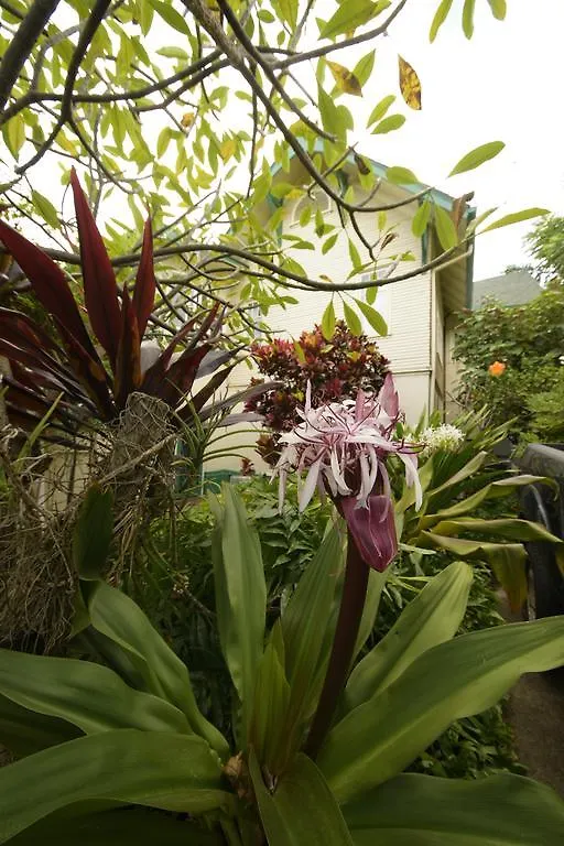 The Historic Maui 3* Wailuku