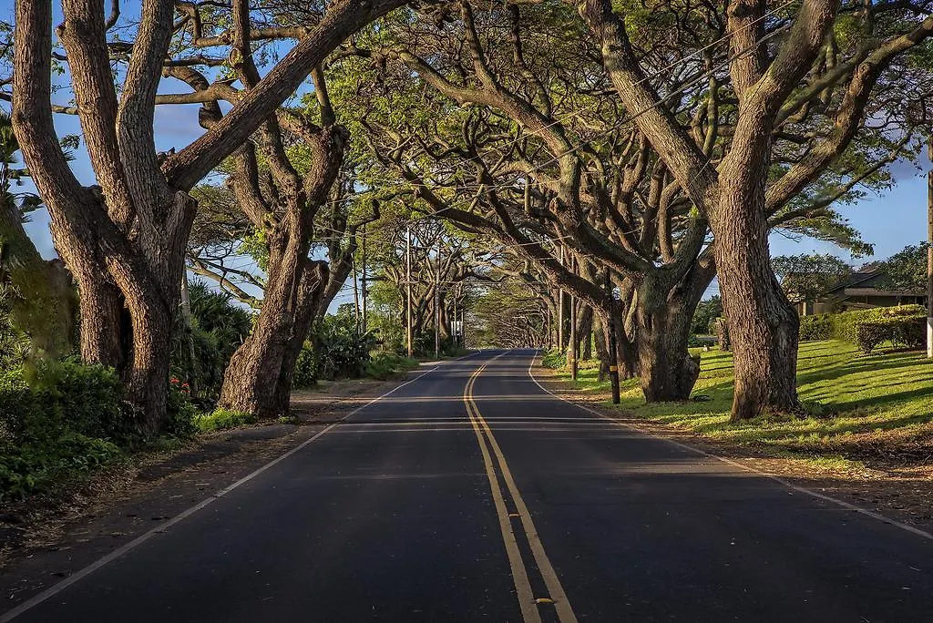 The Historic Maui Guest house Wailuku