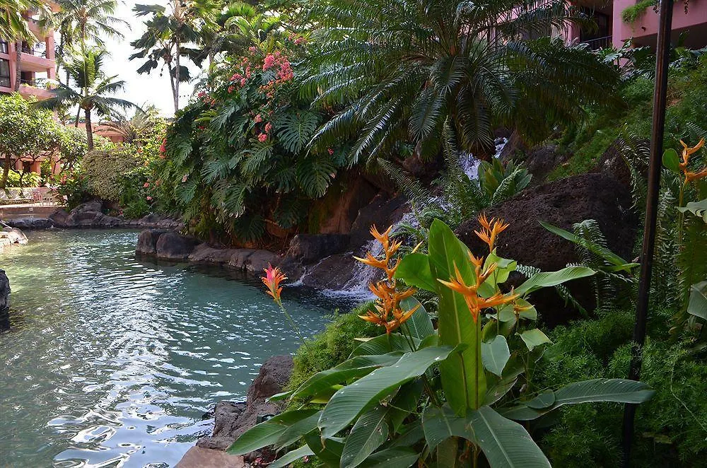 Resort Kahana Falls