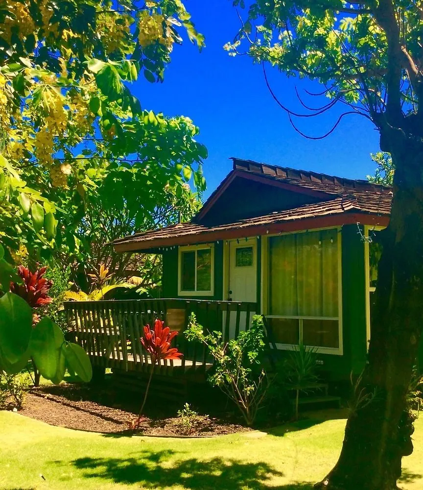 Nona Lani * Kihei