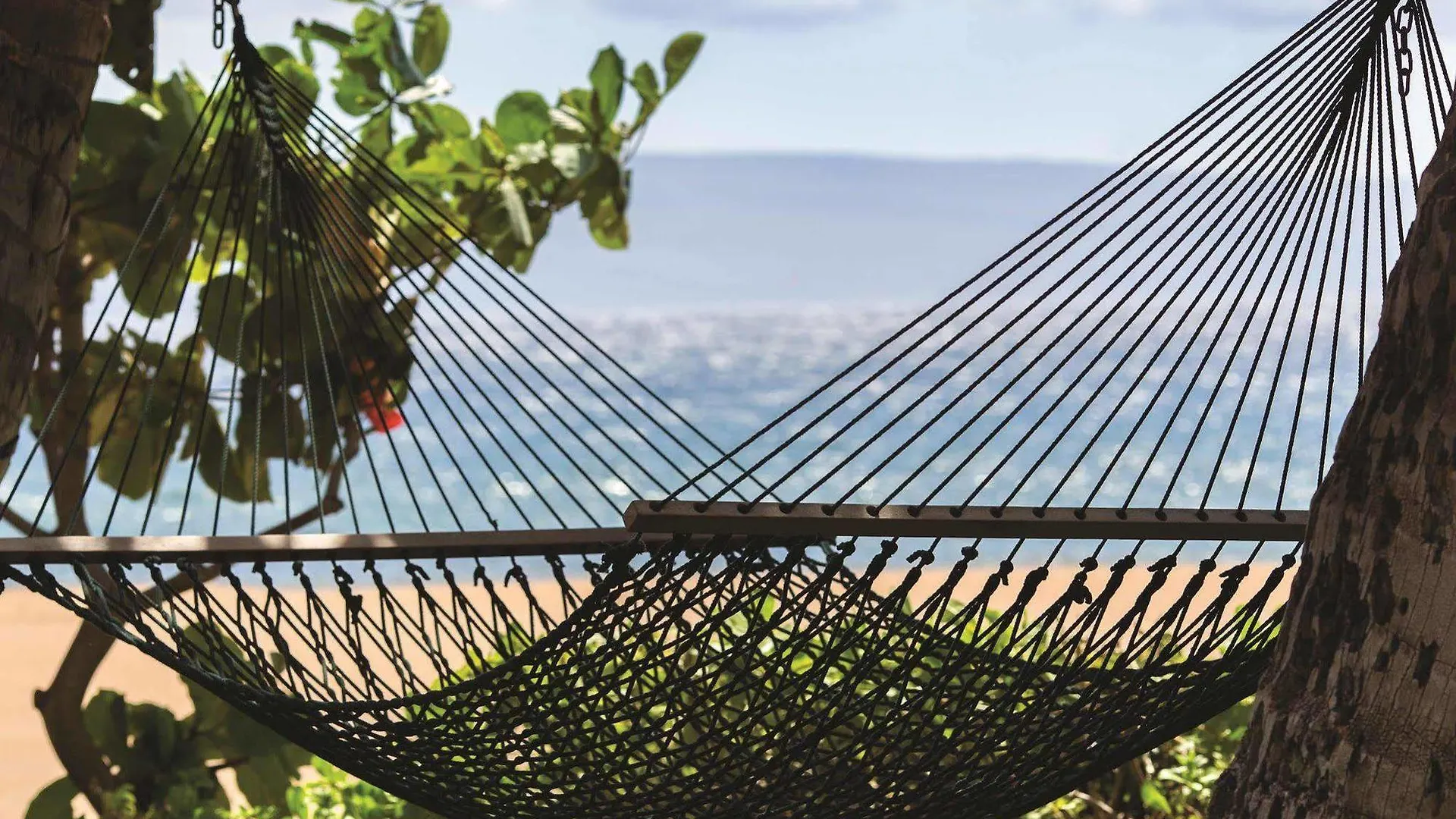 Marriott's Maui Ocean Club - & Napili Towers