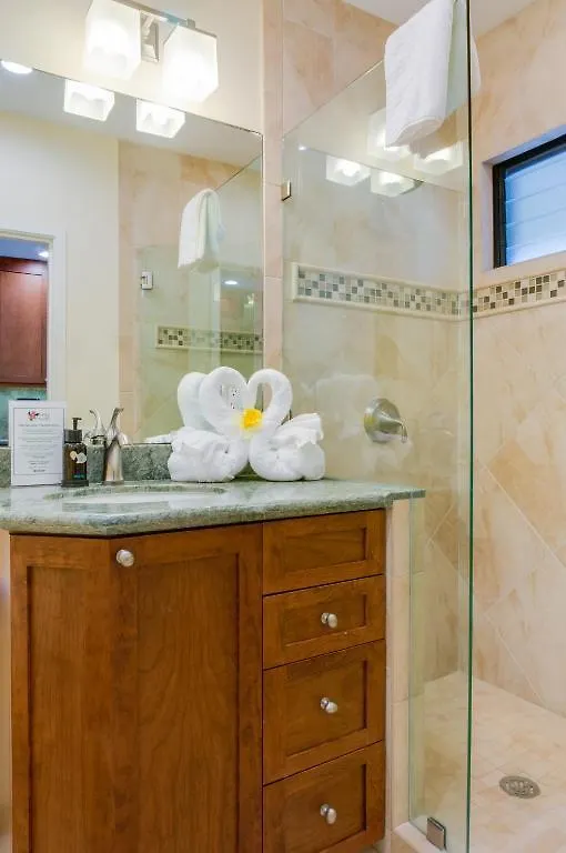 Hale Napili شقة فندقية 4*