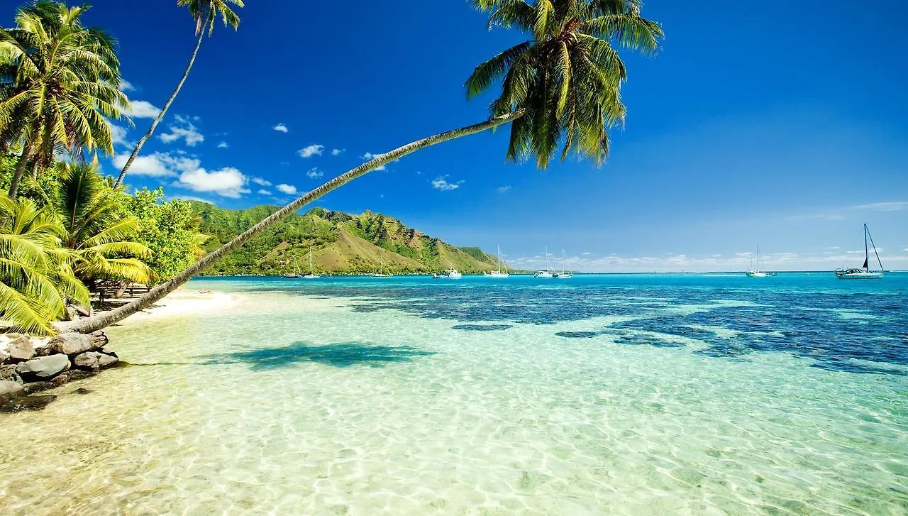 Hono Koa Vacation Club 4*