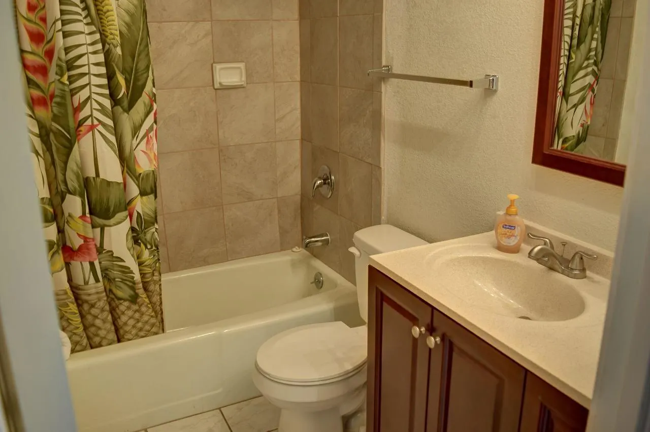 Appartamento Maui Vista 3105