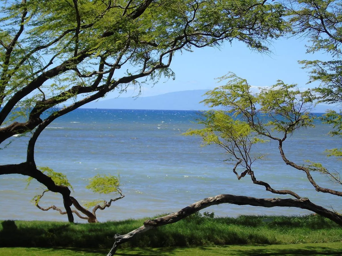 Apartmán Aloha Aku Bamboo - Discover Beachfront Serenity Kihei