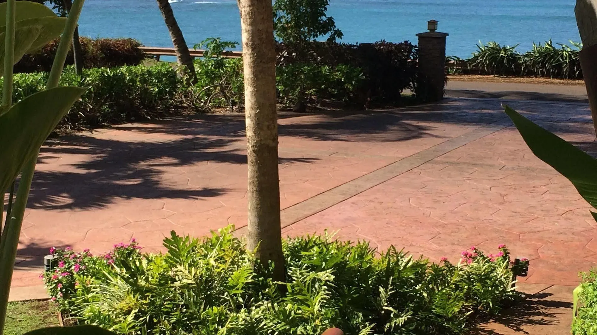 Maui House 3* Kahana