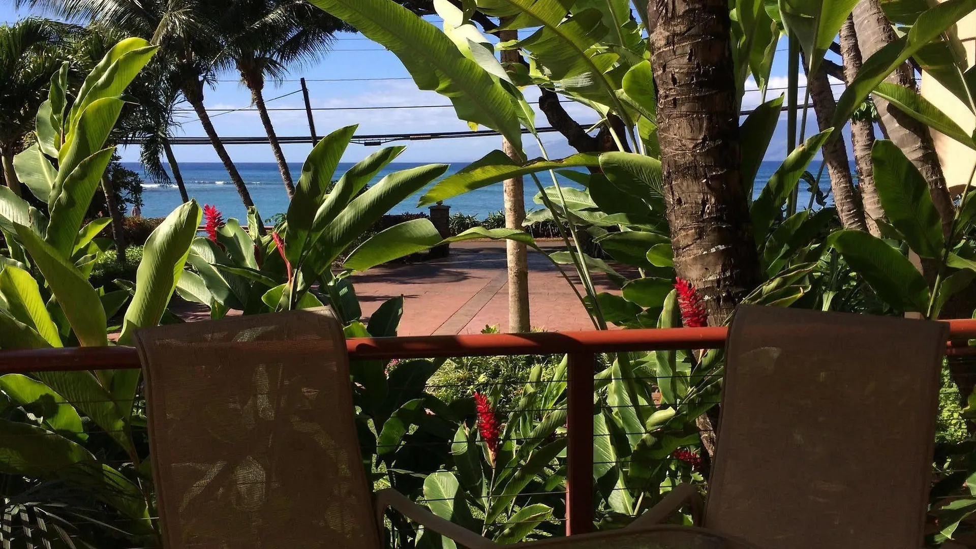 Maui House
