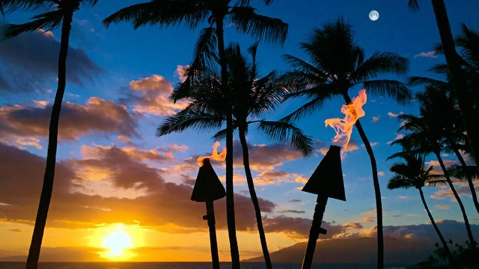 Ho'olei At Grand Wailea Wailea (Maui)