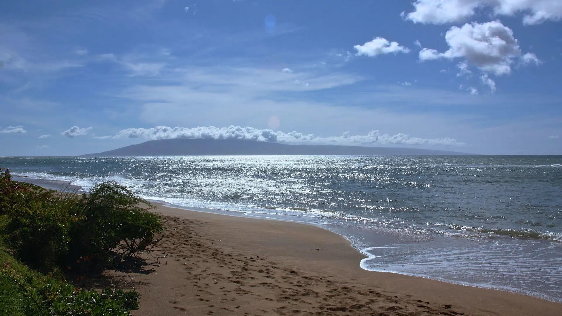 Ocean View At Royal *