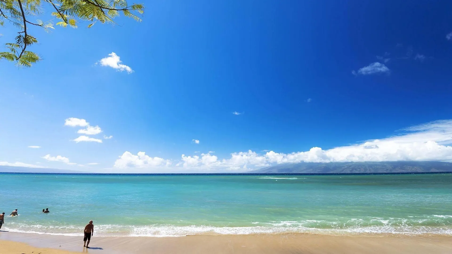 Resort Kahana 3*
