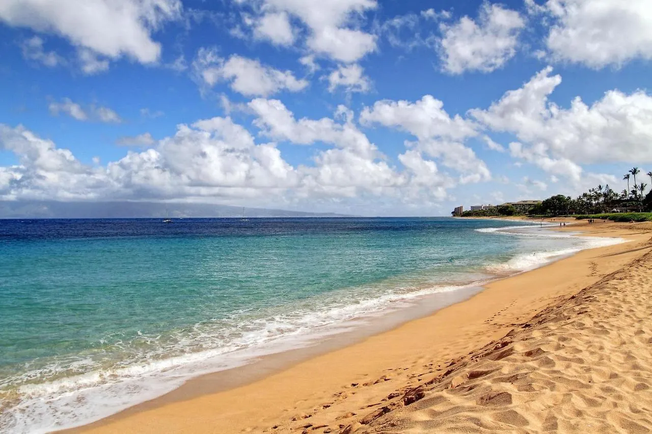 Maui Eldorado アパート *