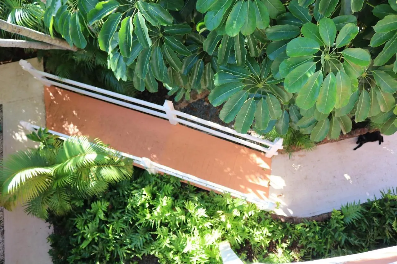 Maui Garden Oasis Lahaina