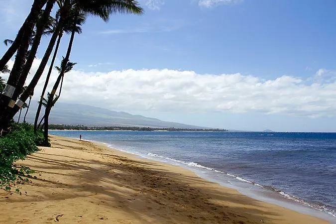 Kealia 502 Holiday home Kihei