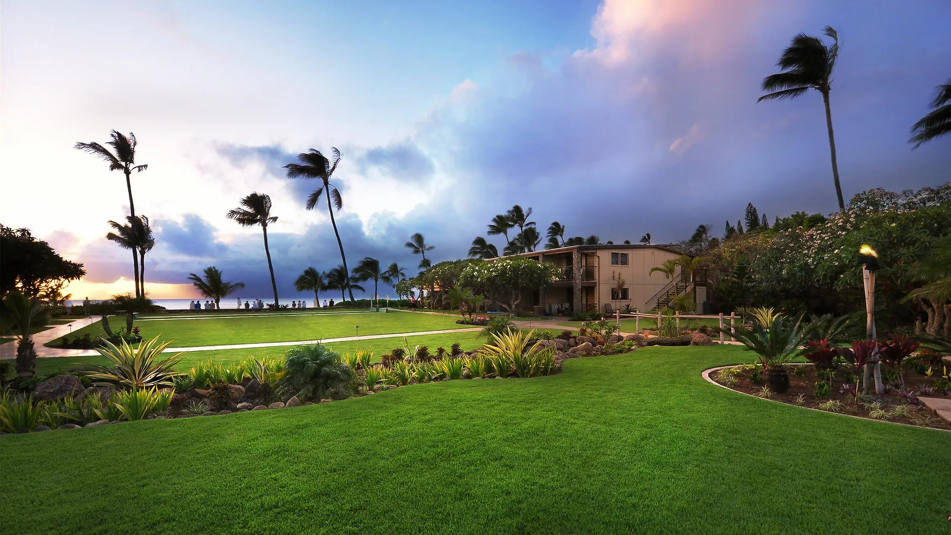 The Mauian 3*