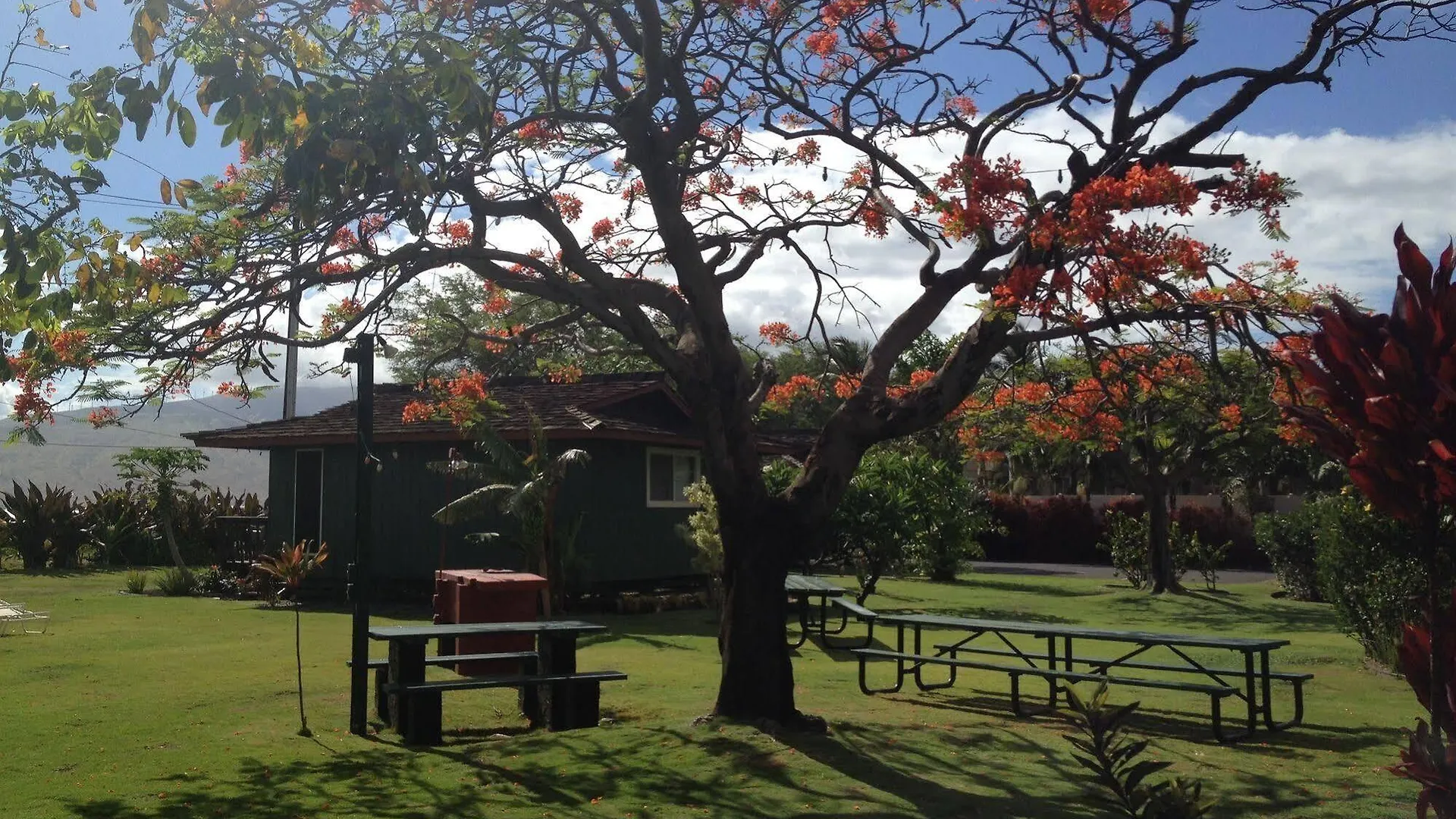 Nona Lani Kihei