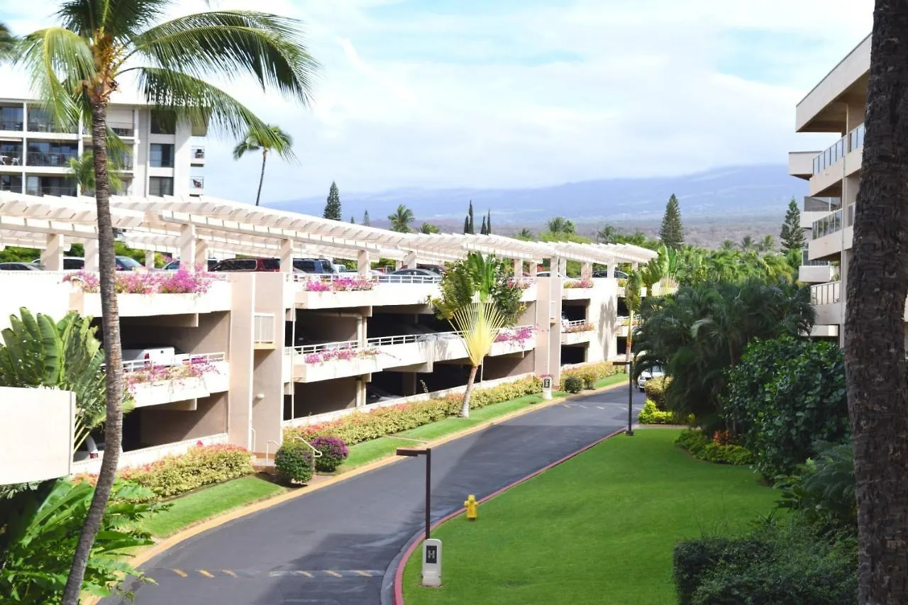 Maui Banyan G310c Wailea (Maui)