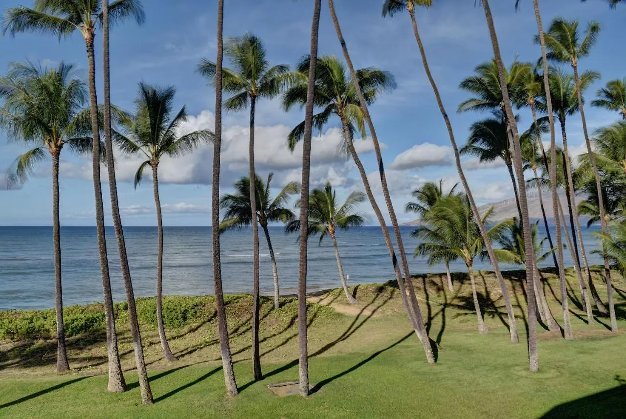 Hale Kai O'kihei 309 アパート *