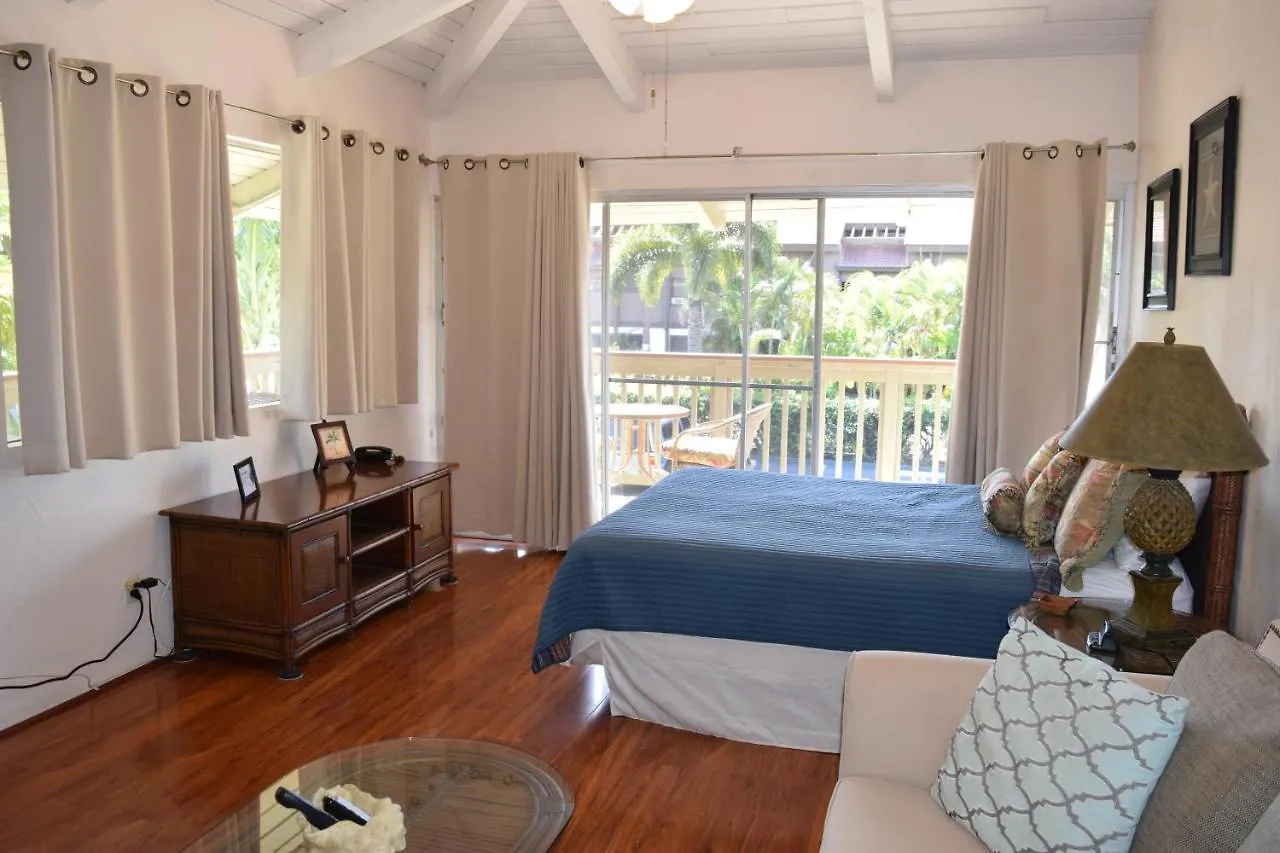 Bay Surf 233 Apartment Kihei