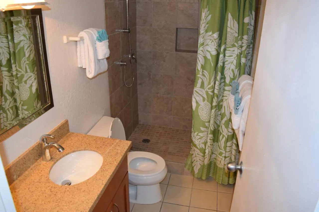 Bay Surf 233 Apartment Kihei
