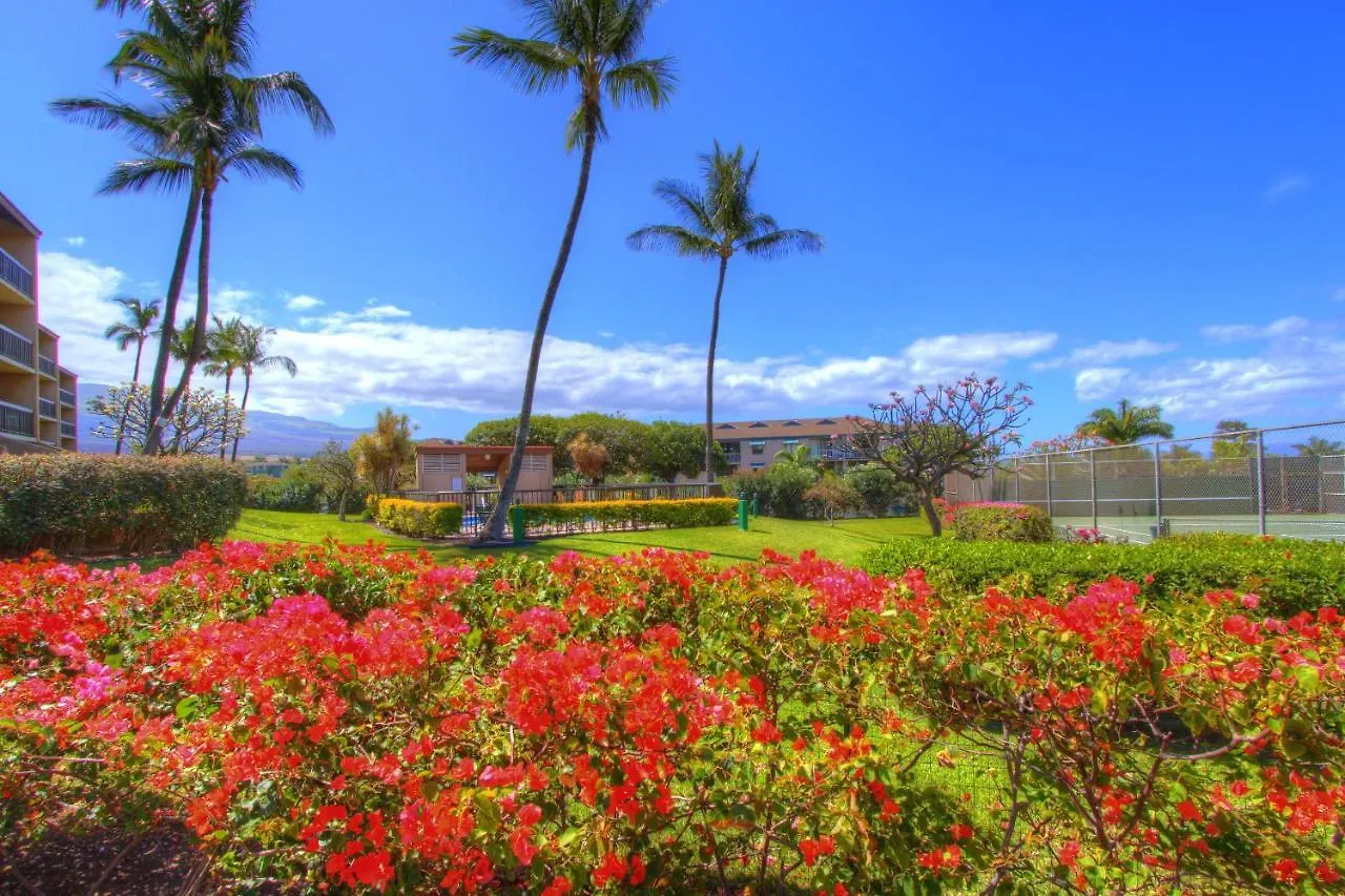 Maui Vista 3101 公寓 *