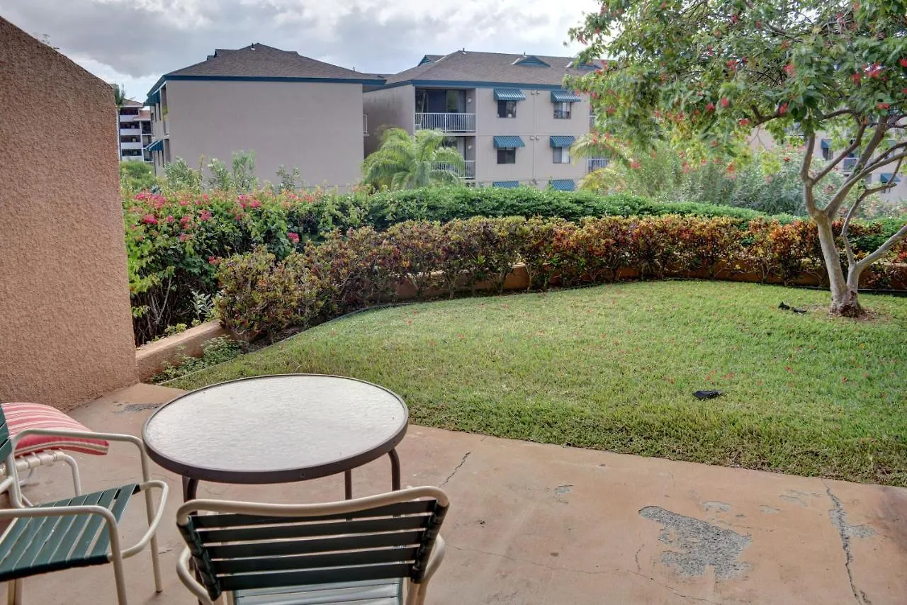Maui Vista 3101 * 基黑