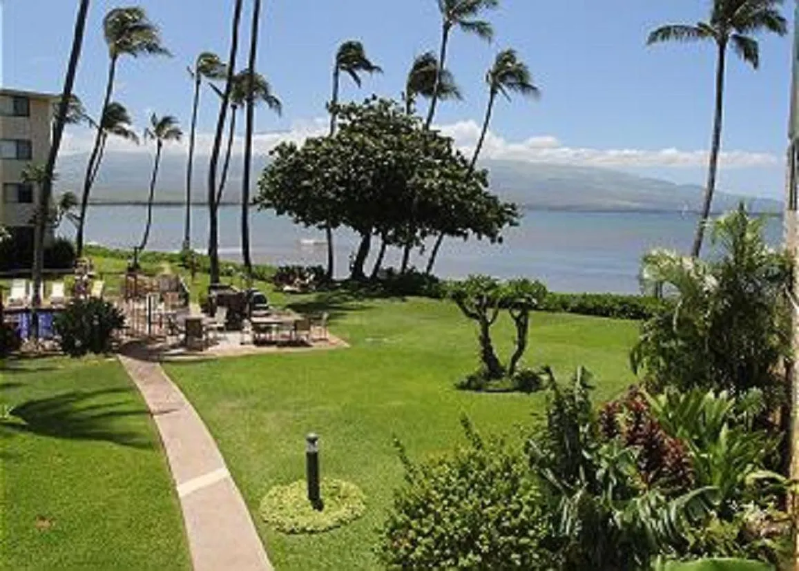 Kanai A Nalu 316 Wailuku