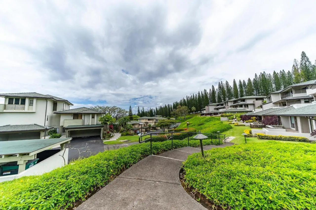 Kapalua Golf 17t8 Holiday home *