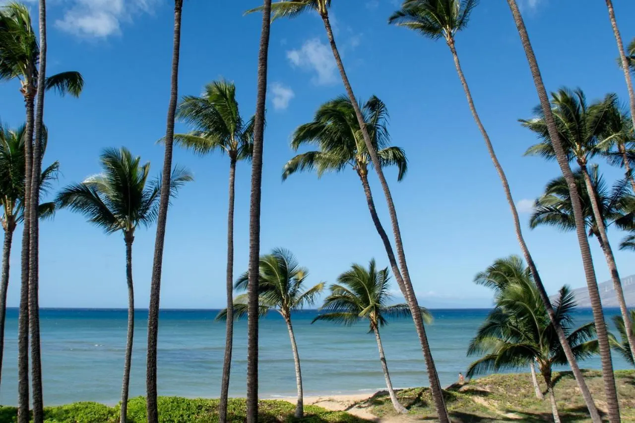 Hale Kai O'kihei 310 基黑