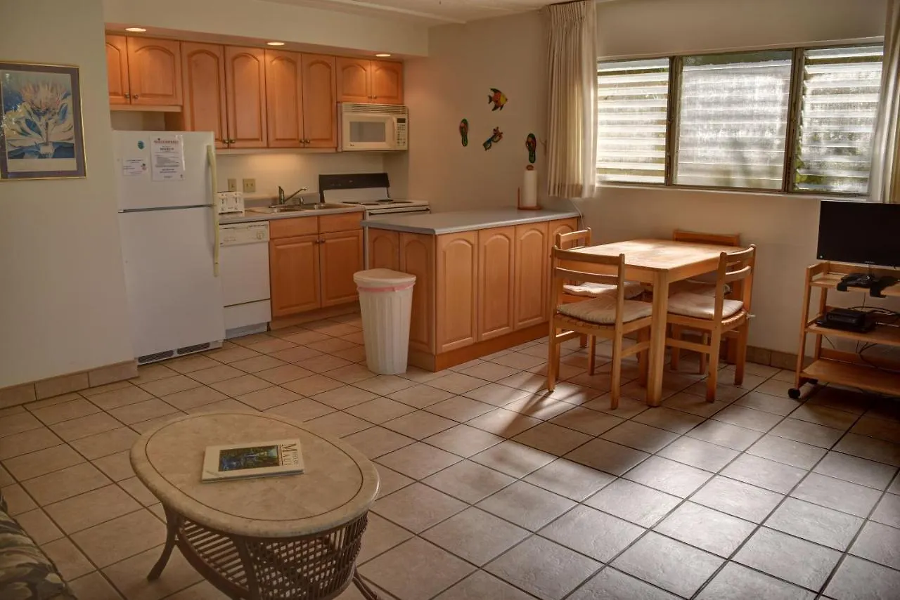 Kai Nani 169 Apartment Kihei