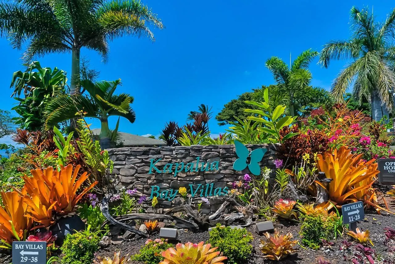 Bay 15g4 Apartment Kapalua